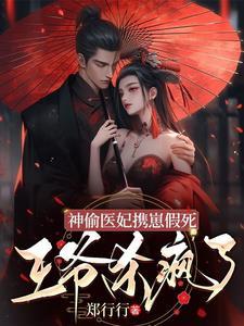 穿越神偷王妃乖一点